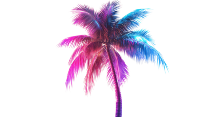 Neon palm tree glowing tropical light sign summer beach decoration isolated on white background