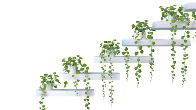 White shelves with cascading green plant isolated on white background 