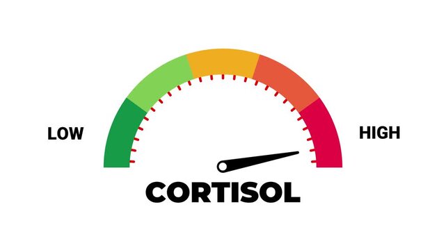Animated Cortisol Level Indicator Low to High, Stress Hormone Cortisol Meter Animation