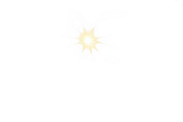 Explosion of stars with transparent background and decorative floral elements