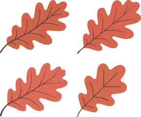 Obraz premium Four autumnal oak leaves with visible vein patterns are displayed against white backdrop