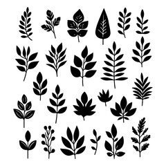 Set of Black Leaf Silhouettes Botanical Plant and Foliage Vector Illustration