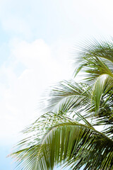 Fototapeta premium El calor del mar