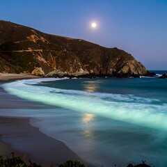 Obraz premium Coastal moonlit beach scene