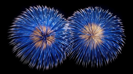 Vibrant fireworks explode in the evening sky amidst festivities