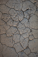 Risse und Furchen im Lehmboden