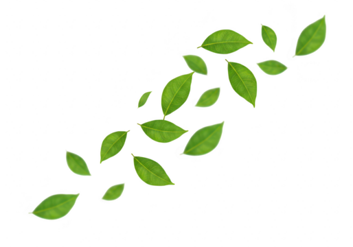 Green leaves arranged in a diagonal pattern, isolated on transparent background