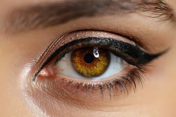 Captivating Close Up of a Brown Eyed Woman with Winged Eyeliner and Subtle Eyeshadow Accentuating Her Natural Beauty and Sophistication in a Studio Setting