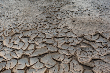 Risse und Furchen im Lehmboden