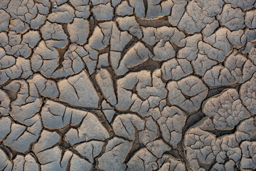 Risse und Furchen im Lehmboden