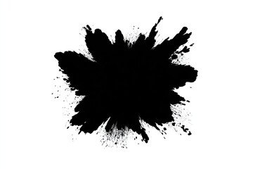 An abstract explosion in solid black against a crisp white backdrop, offering a dynamic effect