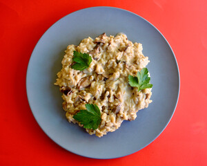 Porcini mushroom risotto on a plate isolated against a colorful background. 