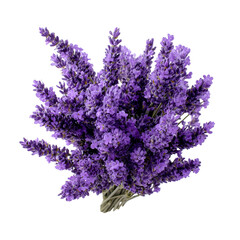 Obraz premium A vibrant bunch of lavender flowers on a black background