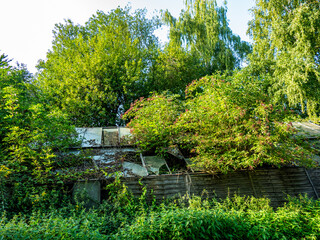 V&ouml;llig zugewachsenes Gew&auml;chshaus