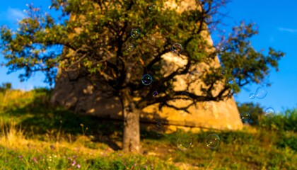 Fototapeta premium Tree beside ancient structure