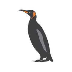 Cute Penguin Illustration Art Modern Animal Vector .