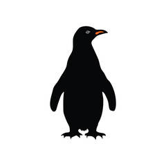 Cute Penguin Illustration Art Modern Animal Vector .