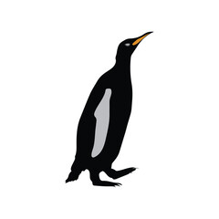 Cute Penguin Illustration Art Modern Animal Vector .