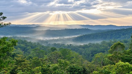 Misty mountain sunrise