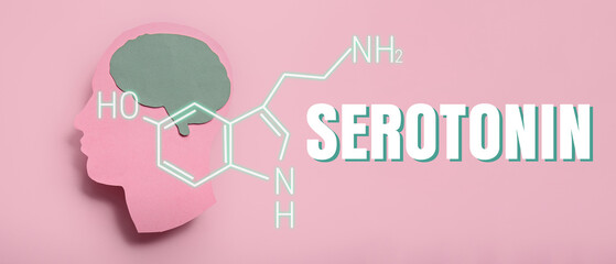 Paper human head with brain and structural chemical formula of serotonin on pink background