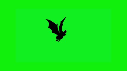 Creepy silhouette of a bat flapping wings on green screen background, loopable animation for Halloween visuals, horror effects, scary overlays, animal motion, and spooky themed projects.