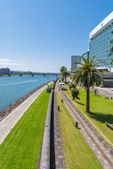 宮崎 大淀川河畔 橘公園 並木道の風景