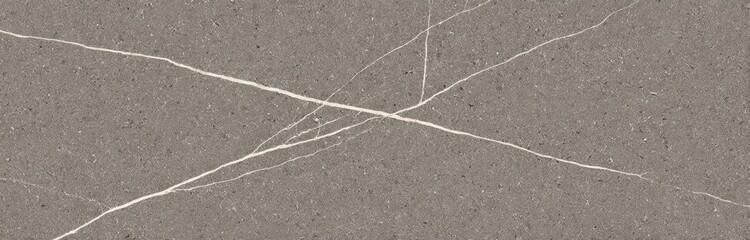 Gray stone surface with white veining