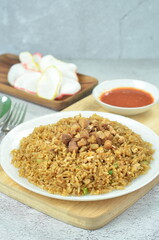 Delicious chicken fried rice with egg, chilli, crackers and green onion, Indonesian dish.