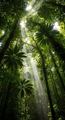 Naklejka premium Sunlight streams through the lush canopy of a vibrant tropical rainforest ecosystem