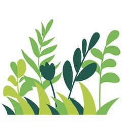 Flat vector illustration of lush green leafy plant with multiple branches, botanical nature element for eco, garden, and decorative landscape designs.