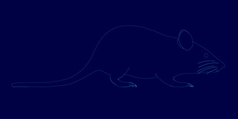 A blue rat contour drawing stands out against a dark blue background, featuring clean lines and a minimalist style. The simple yet striking design highlights the rodent's shape with artistic.