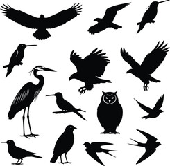 Silhouettes of various birds in flight as a vector illustration