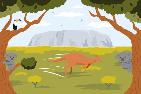 Kangaroo Run in Grassland and Koala in tree