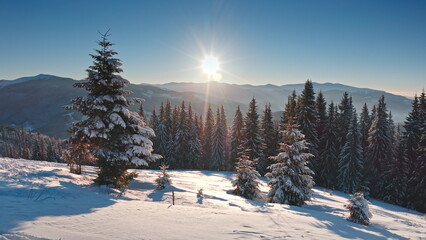 Majestic winter landscape with snowy pine trees forest covering the mountain slopes and bright sun shining over the valley, creating a breathtaking aerial view. Winter wild nature travel background