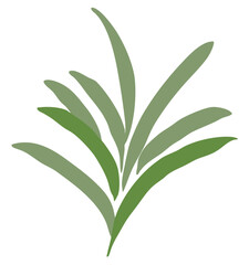Fototapeta premium leaves