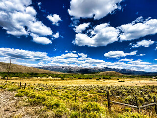 Naklejka premium vineyard in france