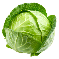 Obraz premium Fresh Green Cabbage Isolated On White Background: A vibrant and crisp head of green cabbage, perfectly illustrating the freshness and purity of nature's bounty.
