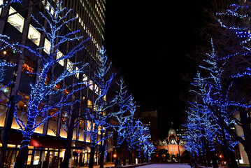 さっぽろホワイトイルミネーション　赤れんが庁舎