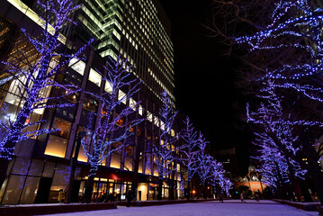 さっぽろホワイトイルミネーション　赤れんが庁舎