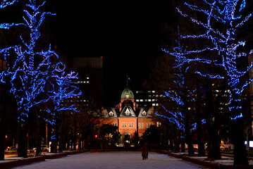 さっぽろホワイトイルミネーション　赤れんが庁舎