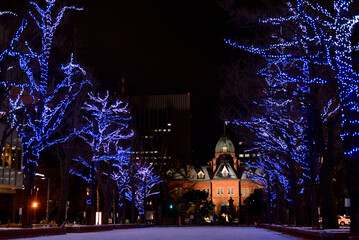 さっぽろホワイトイルミネーション　赤れんが庁舎