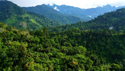 Obraz premium Tropical forest mountains landscape