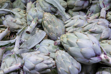 Freshly grown artichokes. Vegetables useful for liver problems.