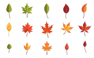 Autumn leaf flat design set. Green, red and orange fallen autumn leaves collection. Maple, spruce, oak, rowan, birch and more vector leaves isolated on white background. High quality