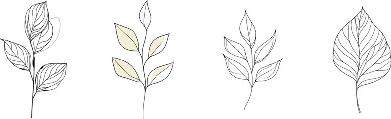 A single line drawing of a plant, complete with leaves on the stem, is showcased on a white background in this modern illustration