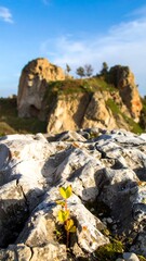 Naklejka premium A small plant sprouts from cracked, light-colored rocks in the foreground, with large, textured rock formations and a clear blue sky in the background