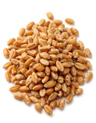 Wheat grains close up