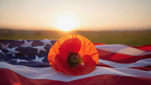 memorial day concept puppy flower with American flag with sunset.ai 
