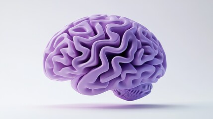 Three-dimensional model of a human brain.
