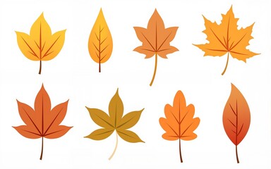 autumn leaves in flat style, set isolated, vector. High quality